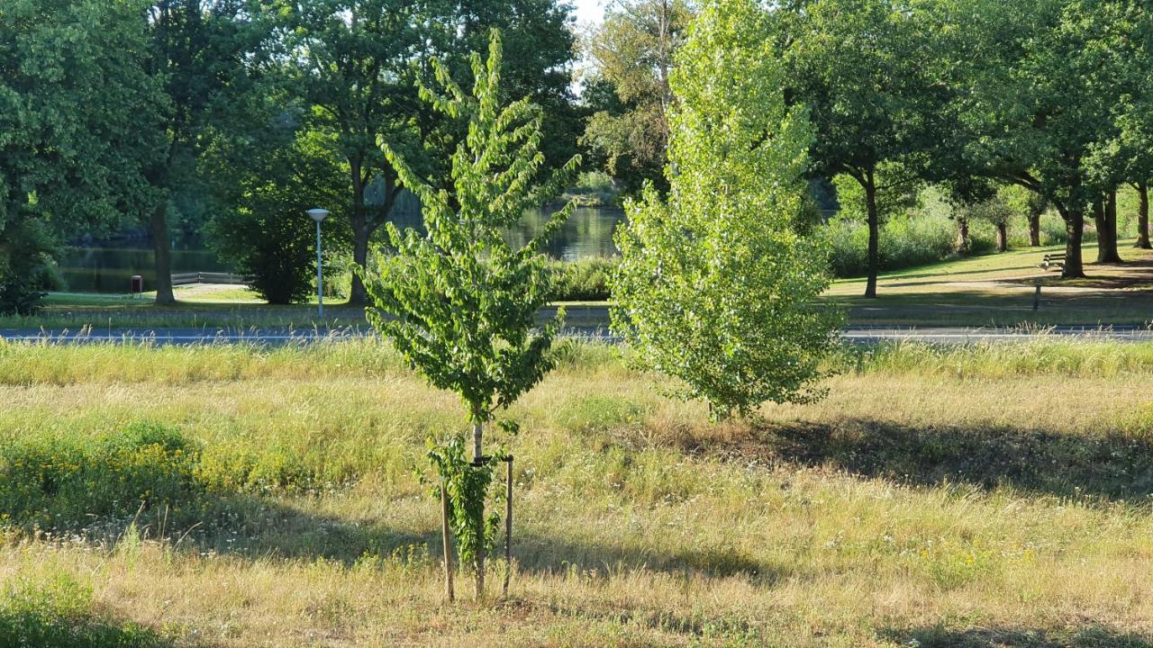 Logies Bij Wandelpad Te Holten Dış mekan fotoğraf
